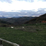 Fattoria Grattazzo outside