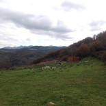 Fattoria Grattazzo Extérieur