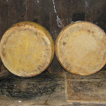 Fattoria Grattazzo Boisson