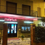 Pizzeria Ocoptus outside