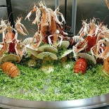 Lido Degli Scogli Essen