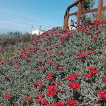 Agriturismo Santa Rita