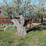 Agriturismo Santa Rita