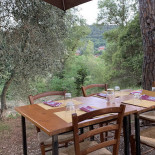Dal Gale-pinsa Amici Extérieur