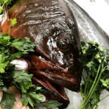 Misterfish Boisson