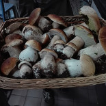 Il Chiosco Bebida