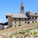Camparient Exterior