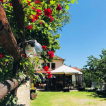 Agriturismo Fangacci Extérieur