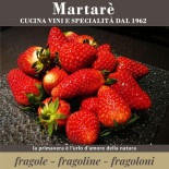 Martarè Carte