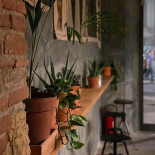 Panicale Minuman