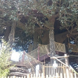 Terre Alte Exterior