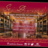 Sei Divino! Gourou