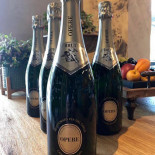 Dal Corso Stefano Boisson
