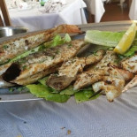 Filu Essen
