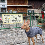 La Norma Pizzeria Extérieur