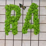 Raw Vegan Firenze Esterno