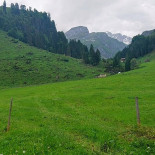 Yoshi Außen