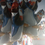 Dolfin Boisson