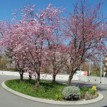 Park Extérieur