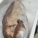 Il Piccolo Pescatore Carte