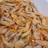 Fish Experience Comida