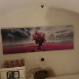 Villa Martina Degustazione Rurale B&b Dentro
