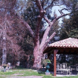 Turismo Rurale Parco Statella Extérieur