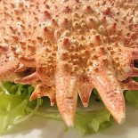 L'hostaria Essen