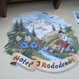 I Rododendri Carte