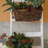 Osteria Montegrappa Extérieur