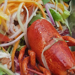 Gastronomia Manzini Nourriture