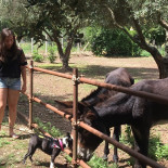 Agriturismo Peppone Extérieur