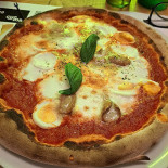 Why Not? Cibo