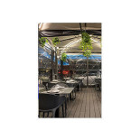 Sushi Sun Cafe Bebida