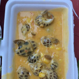 La Camascia Comida