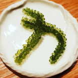 Trattoria Boscaccio Bebida