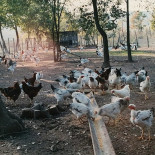 Terre Di Conca Extérieur