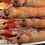L'allegro Comida