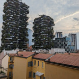 Oryza Exterior