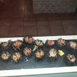 Osteria Due Mari Carte