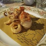 Papillon Essen