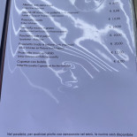 Ai Gabbiani Carta