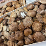 L'ossidiana Comida