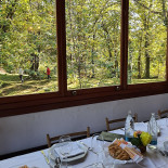Fuoco Di Bosco Dentro