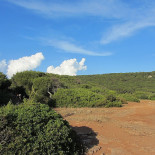 Roccocò Außen