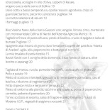 Negroamaro Carte