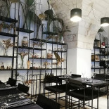 Dish Dentro
