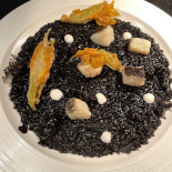 Dish Essen