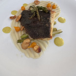 Dish Essen
