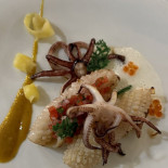 Dish Cibo